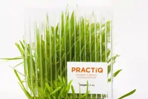  PRACTIQ 4 0,52 /2   6 